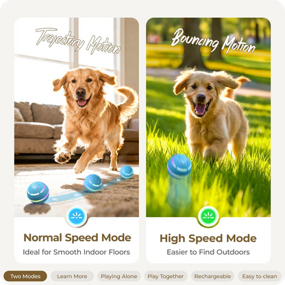 🔥Buy more, get more free. 🐾The ultimate never-ending companion toy for dogs.❤️
