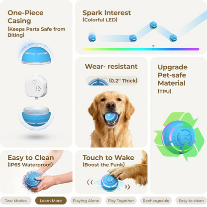 🔥Buy more, get more free. 🐾The ultimate never-ending companion toy for dogs.❤️