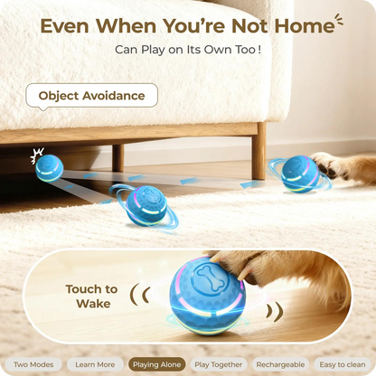 🔥Buy more, get more free. 🐾The ultimate never-ending companion toy for dogs.❤️