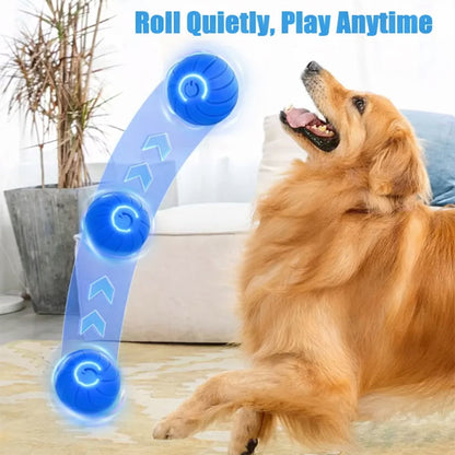 🐾 The Playmate That Never Gets