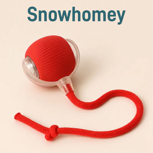 Ultimate Interactive Cat &amp; Dog Toy