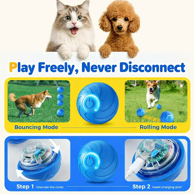🐾 The Playmate That Never Gets