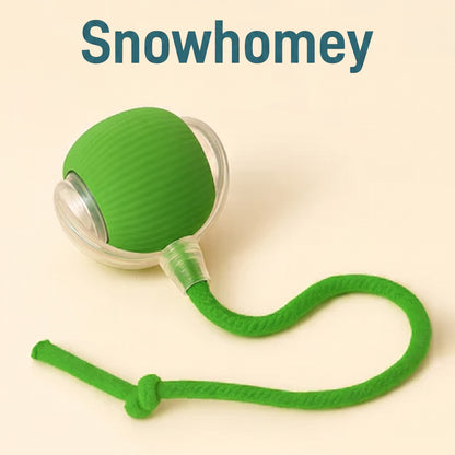 Ultimate Interactive Cat &amp; Dog Toy