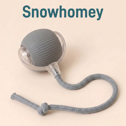Ultimate Interactive Cat &amp; Dog Toy
