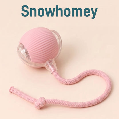 Ultimate Interactive Cat &amp; Dog Toy