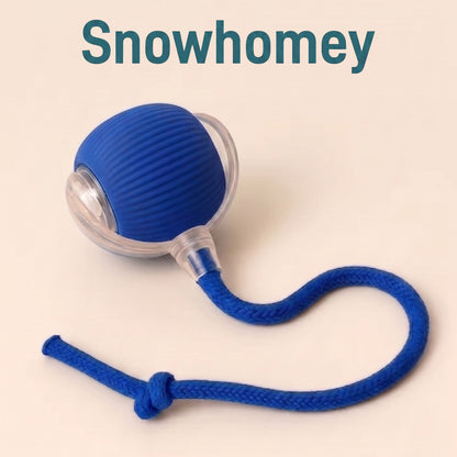 Ultimate Interactive Cat &amp; Dog Toy
