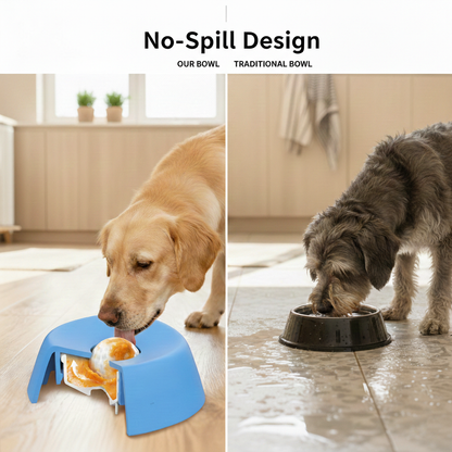 Non-Slip Slow Feeder Dog Bowl