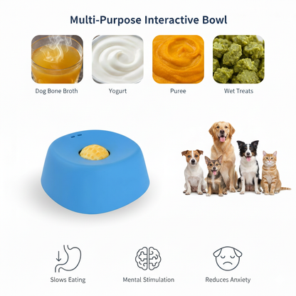 Non-Slip Slow Feeder Dog Bowl