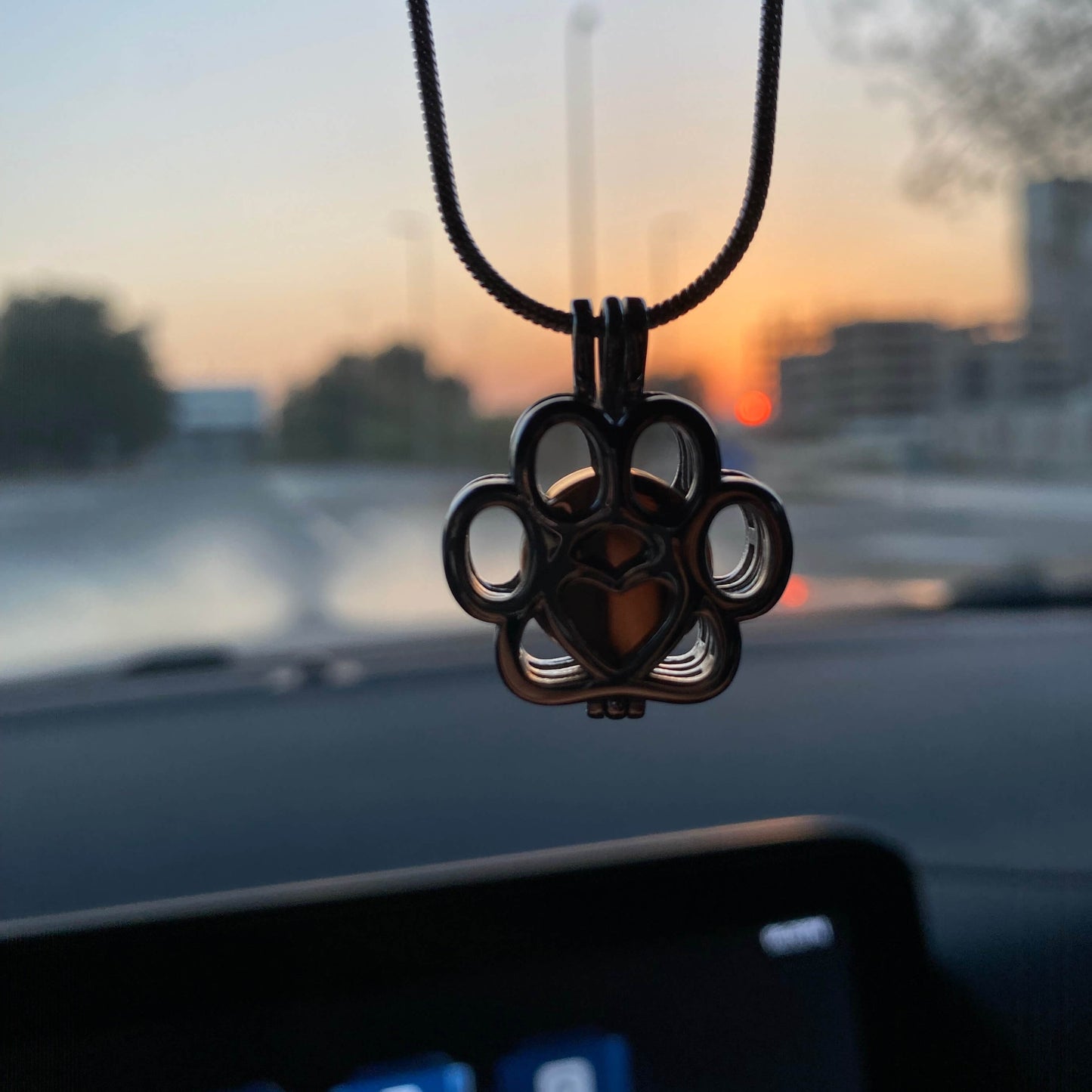 The spiritual destination of pets 🕊️