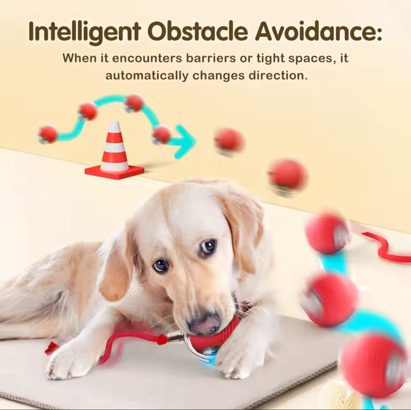 Ultimate Interactive Cat &amp; Dog Toy
