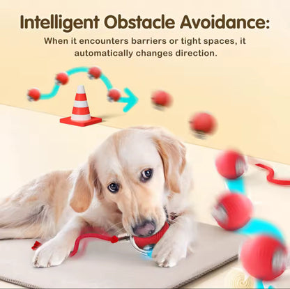 Ultimate Interactive Cat &amp; Dog Toy