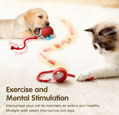 Ultimate Interactive Cat &amp; Dog Toy