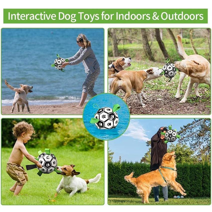 Interactive Dog Football with Tabs