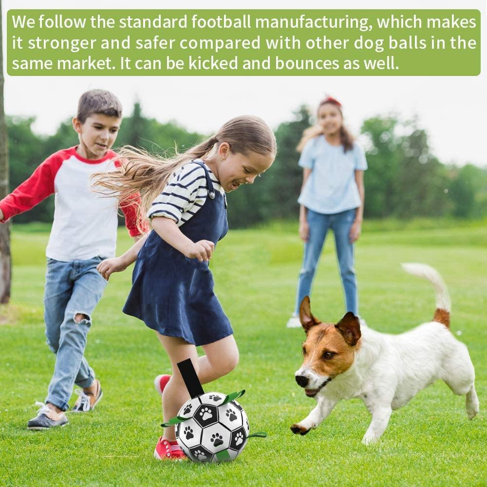Interactive Dog Football with Tabs