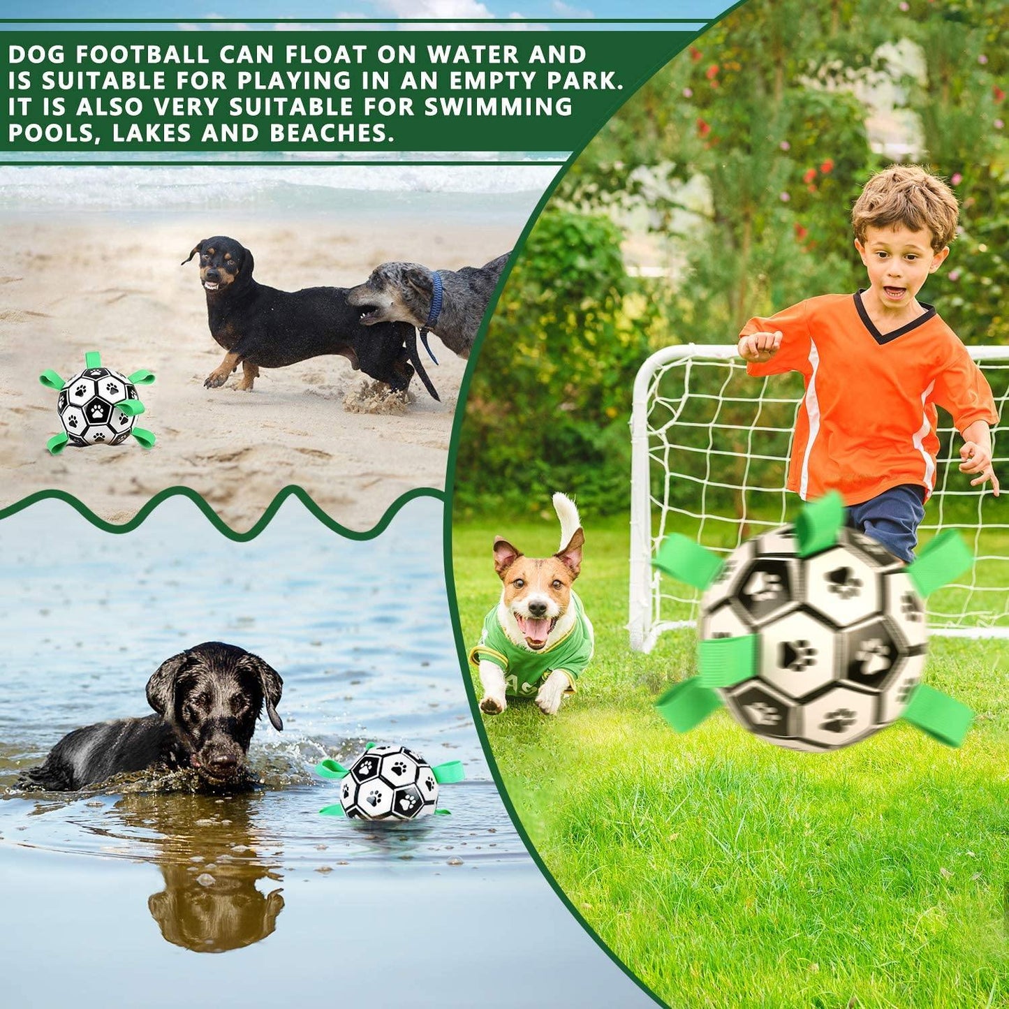 Interactive Dog Football with Tabs