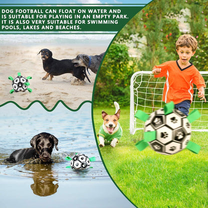 Interactive Dog Football with Tabs