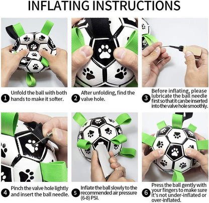 Interactive Dog Football with Tabs