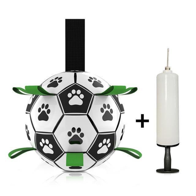 Interactive Dog Football with Tabs