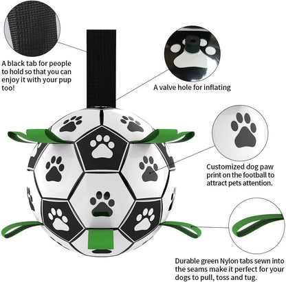 Interactive Dog Football with Tabs